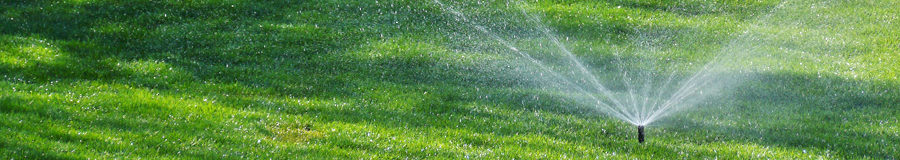 a lawn maintained by our Columbia sprinkler repair team